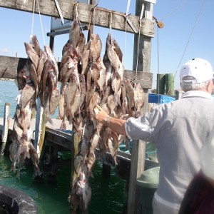 Port St Lucie Fishing