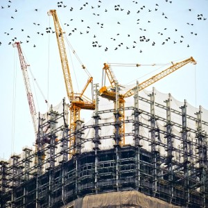 Pre Construction Investment by Foreign Investors